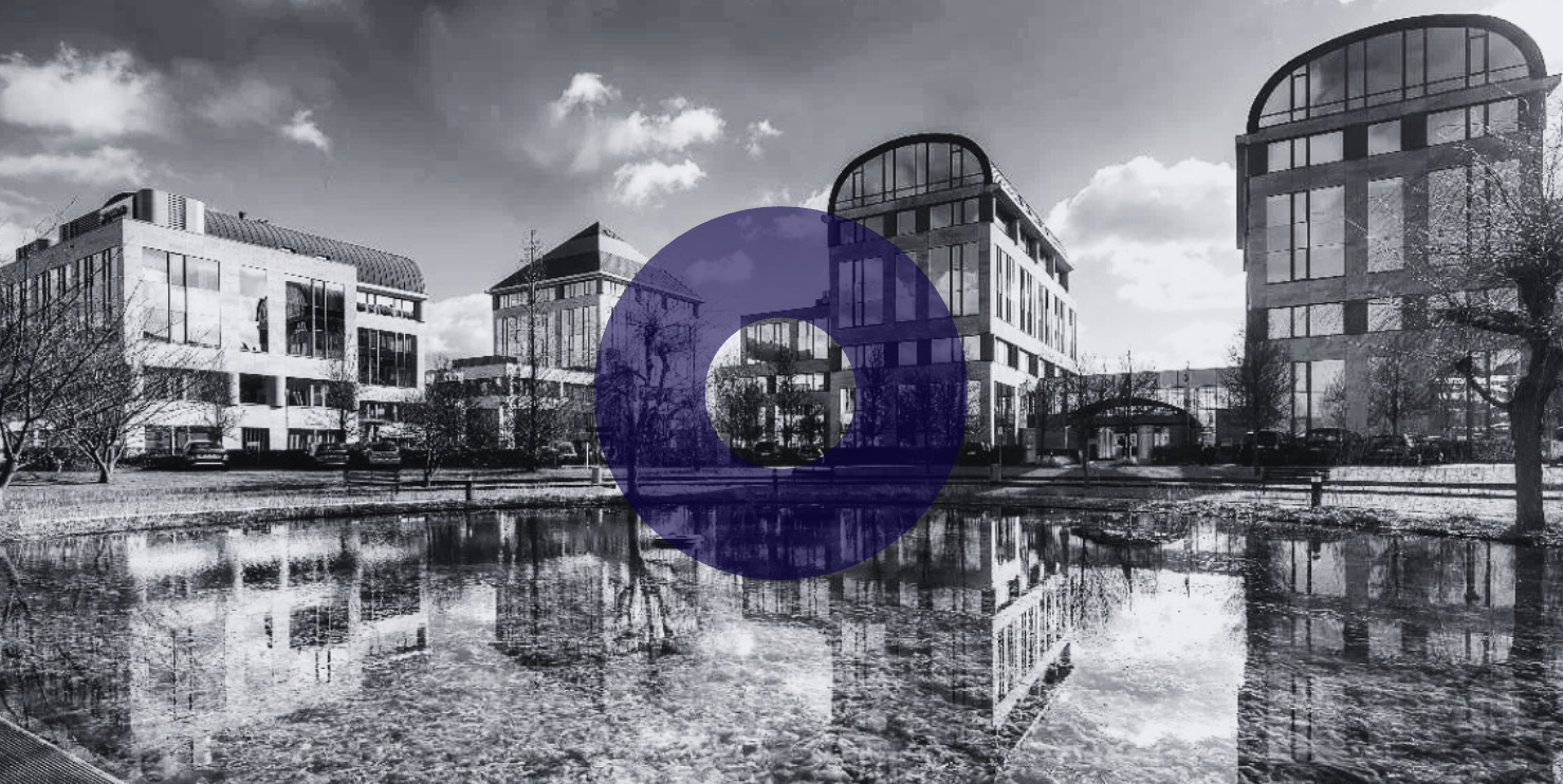 Investors Night - March｜Bright Wolves