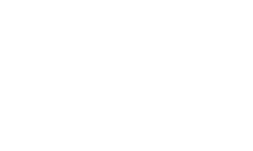 Moonbird white