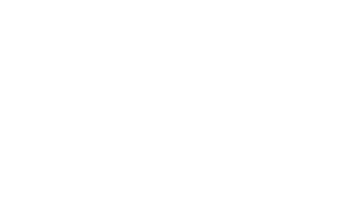 Logo Brand-Partners