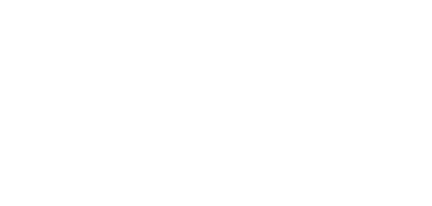 Logo Stripe