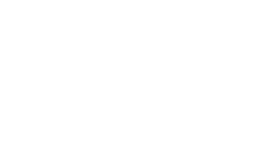 Logo bevopr