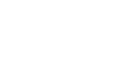 Ethernetics white