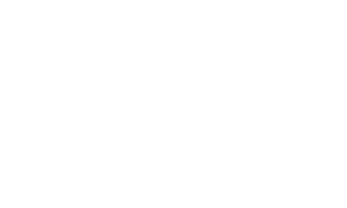 Logo Bonjour Maurice