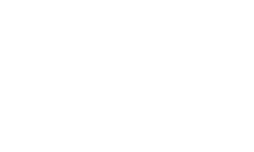 Logo Connect2move