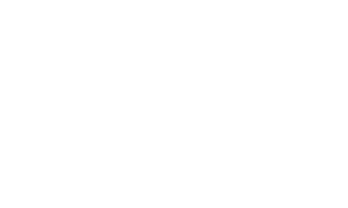 Logo Flowchase