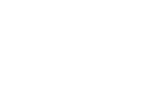 Logo Imagine Belgium