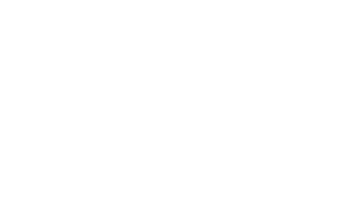 Logo Tribu News