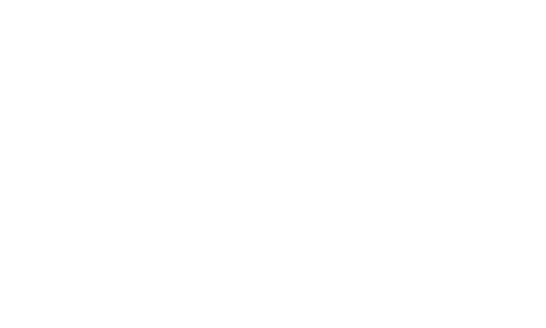 Logo My Tribu News