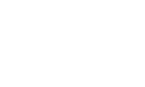 Logo Op2lysis