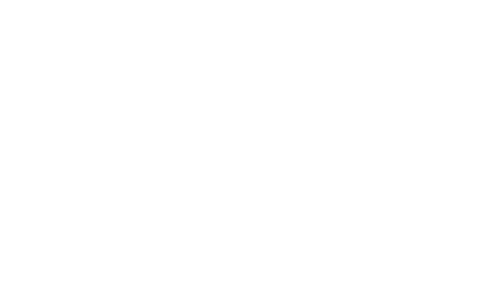 Logo Seety