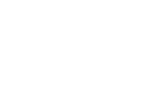 Logo Startup Vie