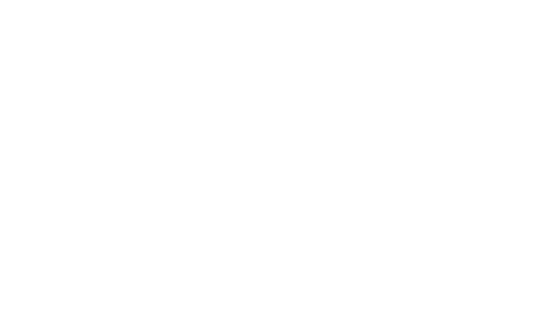 Logo Datavillage