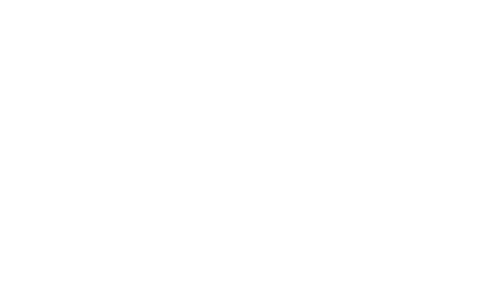 Logo Pags