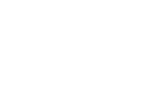 Logo Vestis Labs