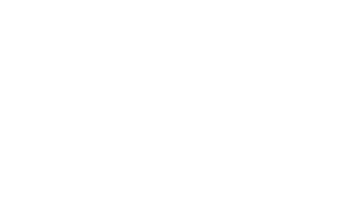 Logo VizioSense
