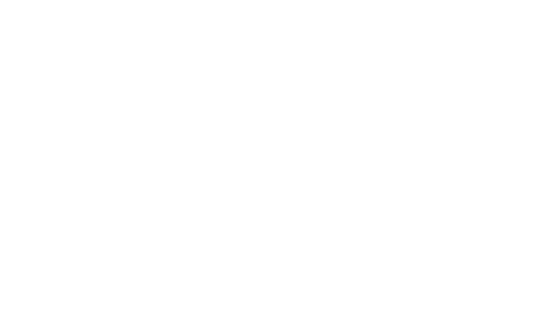 Logo Websie